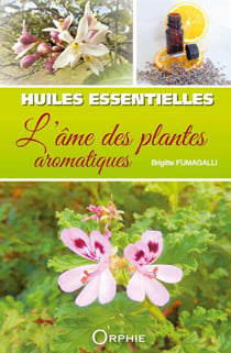 Huiles essentielles : l'art des plantes aromatiques
