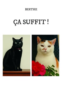 Ça suffit !