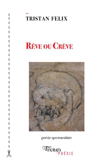 Rêve ou crève : poésie spectraculaire