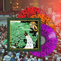 Live at Forest Hills Stadium '25 - édition deluxe colorée gatefold