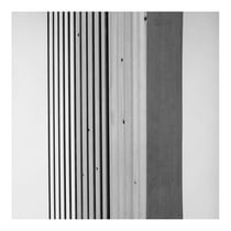 Ost - édition limitée colorée