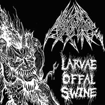 Larvae offal swine