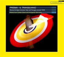 Il transilvano, musical bridges between Italy and Hungary around 1600