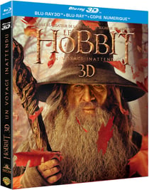 Le Hobbit : Un voyage inattendu