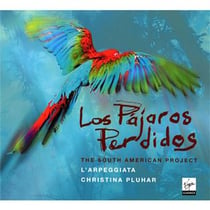 Los pajaros perdidos : the south american project