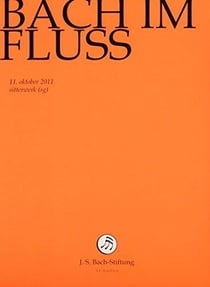 Bach im fluss