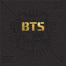 Single album vol. 1 - 2 cool 4 skool