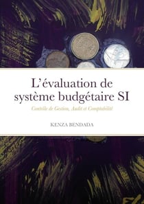 L'évaluation de système budgétaire SI : Contrôle de Gestion, Audit et Comptabilité