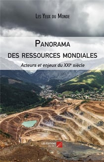 Panorama des ressources mondiales - acteurs et enjeux du XXIème siècle