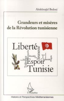 Grandeurs et misères de la révolution tunisienne