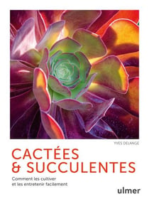 Cactées et succulentes : comment les cultiver et les entretenir facilement