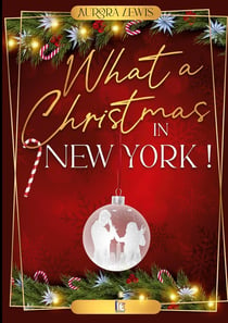 What a christmas in New York