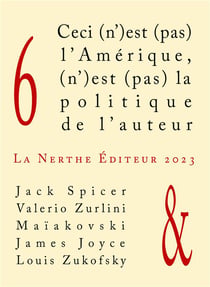 Ceci (n')est (pas) l'Amérique, (n')est (pas) la politique de l'auteur 6