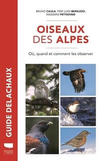 Oiseaux des Alpes : où, quand, comment les observer