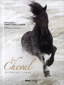 Le cheval - élément libre