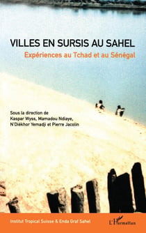 Villes en sursis au Sahel - expériences au Tchad et au Sénégal