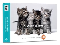 Agenda-calendrier : Chats et chatons (édition 2026)