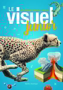 Le visuel junior : dictionnaire français-anglais