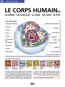 Le corps humain t.2