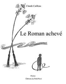 Le roman achevé