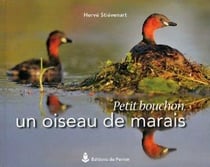 La vie d'un oiseau des marais