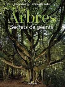 Arbres, secrets de géants