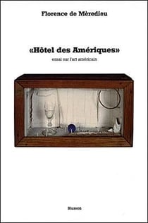 Hôtel des amériques, essai sur l'art américain
