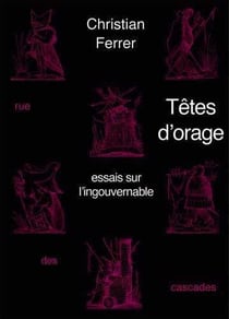 Têtes d'orage : essais sur l'ingouvernable