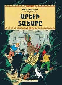 Les aventures de Tintin Tome 14 : le temple du soleil