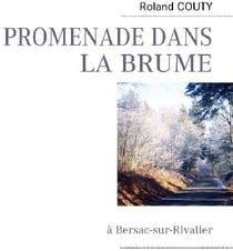 Promenade dans la brume à Bersac-sur-Rivalier