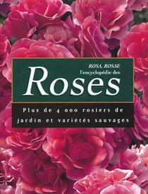 Botanica - les roses