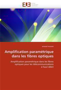 Amplification parametrique dans les fibres optiques