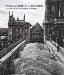 Patrimoines en guerre : "sauver un peu de la beauté du monde"