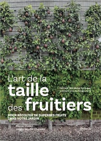 L'art de la taille : pour les meilleurs fruits dans chaque jardin