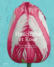 Hyacinthe et rose