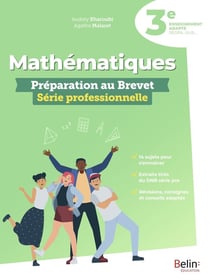 Mathématiques : préparation au Brevet, série professionnelle