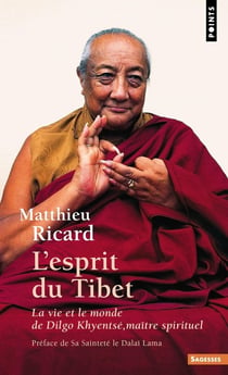 L'esprit du tibet : La vie et le monde de Dilgo Khyentse, maître spirituel