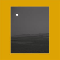 Songs for Sad Poets