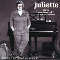 Ma vie mon oeuvre /vol.1: 20 ans 20 chansons