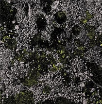 Infest The Rats Nest - Live At Red Rocks 2022