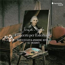 Concerti per Esterházy, vol.1