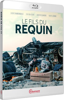Le Fils du requin