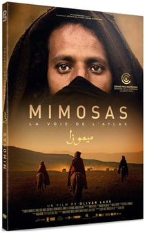 Mimosas : La voie de l'Atlas