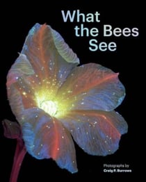 WHAT THE BEES SEE