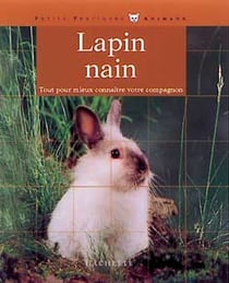 Le lapin nain