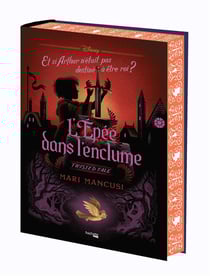 Twisted tale : L'Épée dans l'enclume : Et si Arthur n'était pas destiné à être roi ?