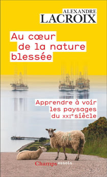 Au coeur de la nature blessée : Apprendre à voir les paysages du XXIe siècle