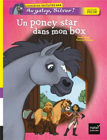 Au galop, silver ! un poney star dans mon box