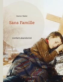 Sans famille : l'enfant abandonné