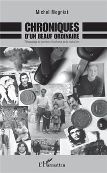 Chroniques d'un beauf ordinaire - télescopage de souvenirs d'enfance et de moins loin